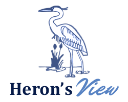 Heron's View